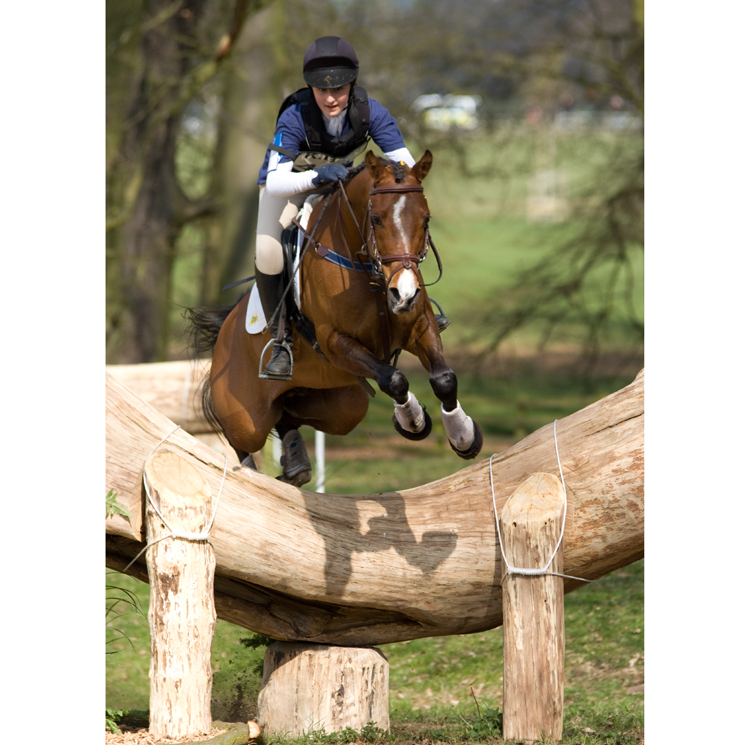 Equestrian photographer France | Equestrian photography in Dordogne, Bergerac, Eymet, Perigeuex, Beaumont du Perigord, Issigeac, Villereal, Sarlat, Cahors