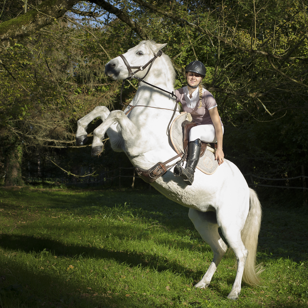 Equestrian photographer France | Equestrian photography in Dordogne, Bergerac, Eymet, Perigeuex, Beaumont du Perigord, Issigeac, Villereal, Sarlat, Cahors