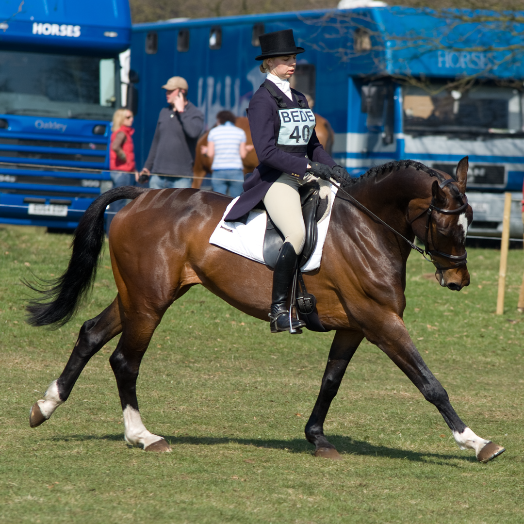 Equestrian photographer France | Equestrian photography in Dordogne, Bergerac, Eymet, Perigeuex, Beaumont du Perigord, Issigeac, Villereal, Sarlat, Cahors