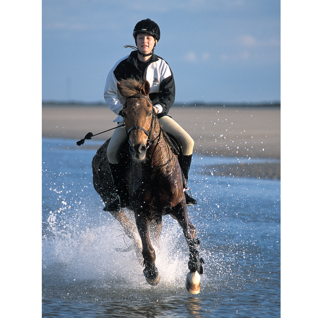 Equestrian photographer France | Equestrian photography in Dordogne, Bergerac, Eymet, Perigeuex, Beaumont du Perigord, Issigeac, Villereal, Sarlat, Cahors